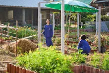 680103 สมุนพระรามดูแลสวนเช้า เย็น เปียหม่องเริ่มทำน้ำตก 116.jpg