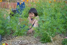 680110 สมุนพระราม ทำ 5 ส ปลูกต้นองุ่น ปรับปรุงแปลงดอกไม้ 53.jpg