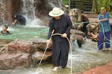 680511 ภาพโฮมแฮงขัดนำตกองค์พระพุทธธาในวันวิสาขฯ 86.jpeg