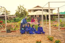 680110 สมุนพระราม ทำ 5 ส ปลูกต้นองุ่น ปรับปรุงแปลงดอกไม้ 50.jpg