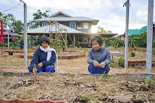 671216 สมุนพระราม ห่มดินสวนน่ารักด้วยฟางข้าว วัดระดับน้ำคลองไส้ไก่ 6.jpg