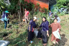 IMG_3767.jpg