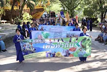671229 ขบวนแห่พืชพันธุ์ธัญญาหารในงานเพื่อฟ้าดิน 25.JPG