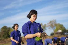 680111 กิจกรรมดำนาวันเด็กแห่งชาติ ของนร.สสธ.และสมุนพระราม 81.JPG
