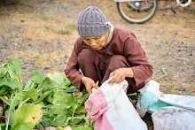 680224 วันบวร ชาวชุมชนสีแดง และ นร.ม.1 ปลูกหัวไชเท้า 84.jpg
