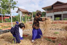 671216 สมุนพระราม ห่มดินสวนน่ารักด้วยฟางข้าว วัดระดับน้ำคลองไส้ไก่ 73.jpg