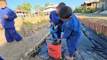 671130 นร.สมุนพระราม ฉีดพ่นจุลินทรีย์ B16 รักษากล้วยตายพราย  4.jpg