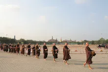 IMG_6126.JPG