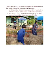 671210 สมุนพระรามช่วยกันขนฟางปูทับหญ้าในสวนน่ารัก