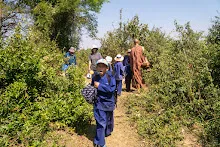 SDN09247.jpg