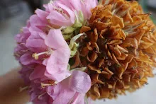 680202 สสธ.ม.3 ฝึกหัดเพาะชำต้นไม้แบบควบแน่น ไปสวนไวพลัง 279.JPG