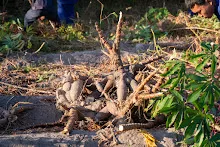 DSC03998.jpg