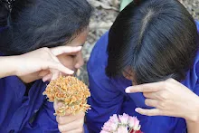 680202 สสธ.ม.3 ฝึกหัดเพาะชำต้นไม้แบบควบแน่น ไปสวนไวพลัง 304.JPG