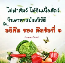 ไม่กินเนื้อสัตว์คืออธิศีลของศีลข้อ 1.jpeg