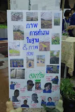 680322 ตลาดนัดวิชาการสัมมาสิกขา อาชีวะ  77.jpeg