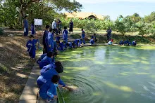 671228 สมุนพระรามเข้าค่าย เรียนการปรับปรุงพันธุ์พุทธรักษา เล่นเกมกินวิบาก พาทัวร์รถราง 317.jpg