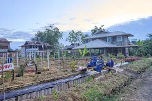 671211 สมุนพระรามถ่ายภาพที่สะพานสวนน่ารัก เก็บผักบุ้งที่นาผักบุุ้ง 7.jpg