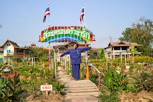 680218 สมุนพระราม เพาะควบแน่น เมล็ดพุทธรักษาที่ได้ผสมพันธุ์ข้ามสี  20.jpg