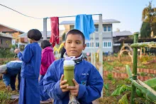 680608 สมุนพระรามเก็บเมล็ดพันธุ์ดอกไม้กินได้ที่สวน ไปขนดินปลูก 34.jpg