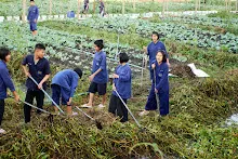 671209 งานวันบวร สสธ.ลอกผักบุ้งออกจากคลอง สวนเพื่อฟ้าดิน 16.jpg