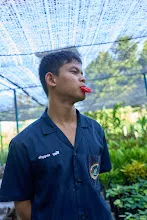 671128 วันหยุด สสธ.ม.4 สมุนพระราม ไปช่วยขนกล้าไม้ดอก จากสวนไวพลัง 97.jpg