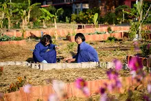680117 สมุนพระรามปรับปรุงสวน ทาสีเสาป้ายสวนครอบครัวน่ารัก 74.jpg