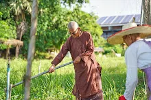 671021 วันบวร รวมสี ถางหญ้า สวนเพื่อฟ้าดิน34.jpg