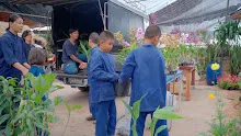 680410 สมุนพระรามนำต้นกล้าดอกไม้ที่เพาะไว้ออกขายเป็นครั้งแรกในตลาดอาริยะ 8.jpg