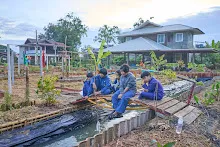 671211 สมุนพระรามถ่ายภาพที่สะพานสวนน่ารัก เก็บผักบุ้งที่นาผักบุุ้ง 9.jpg