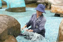680511 ภาพโฮมแฮงขัดนำตกองค์พระพุทธธาในวันวิสาขฯ 110.jpeg