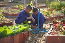 680103 สมุนพระรามดูแลสวนเช้า เย็น เปียหม่องเริ่มทำน้ำตก 66.jpg