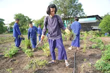 680714 สมุนพระรามร่วมงานวันบวร ถอนหญ้าสวนกตัญญูแผ่นดิน 37.JPG