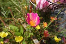 ZV_08280.JPG