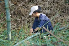 680603 รวมพลังปลูกแฝก วันเฉลิมพระชนมพรรษา สมเด็จพระนางเจ้าสุทิดา 60.jpeg