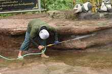 680511 ภาพโฮมแฮงขัดนำตกองค์พระพุทธธาในวันวิสาขฯ 94.jpeg