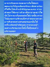 680210 ประชุมการศึกษาบุญนิยม ที่เนินพอกิน งานพุทธา 45.jpeg