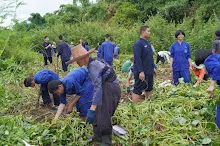 680623  เด็กสมุนพระรามร่วมทำงานขุดมันเทศ ในวันนบวร 15.jpeg