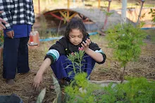 680110 สมุนพระราม ทำ 5 ส ปลูกต้นองุ่น ปรับปรุงแปลงดอกไม้ 97.jpg