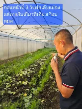 680210 ประชุมการศึกษาบุญนิยม ที่เนินพอกิน งานพุทธา 21.jpeg