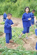 680616 สมุนพระรามไปขุดมันเทศริมมูลและเก็บเมล็ดถั่วลิสงเรี่ยดิน วันบวรกับชาวชุมชนกลุ่มสีส้ม 59.JPG