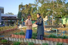 680608 สมุนพระรามเก็บเมล็ดพันธุ์ดอกไม้กินได้ที่สวน ไปขนดินปลูก 61.jpg