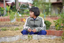 680110 สมุนพระราม ทำ 5 ส ปลูกต้นองุ่น ปรับปรุงแปลงดอกไม้ 46.jpg