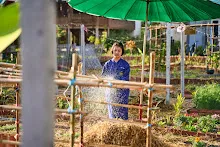680103 สมุนพระรามดูแลสวนเช้า เย็น เปียหม่องเริ่มทำน้ำตก 117.jpg