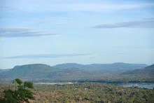 IMG_1385.JPG