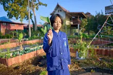 680608 สมุนพระรามเก็บเมล็ดพันธุ์ดอกไม้กินได้ที่สวน ไปขนดินปลูก 81.jpg