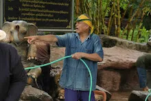 680511 ภาพโฮมแฮงขัดนำตกองค์พระพุทธธาในวันวิสาขฯ 88.jpeg