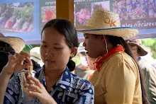 680419 ครูดีไม่มีอบายมุข รุ่น 14 เข้า work shop สวนครอบครัวน่ารัก 199.jpg