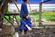 680224 วันบวร ชาวชุมชนสีแดง และ นร.ม.1 ปลูกหัวไชเท้า 20.jpg