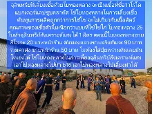 680209 เดินตามรอยโพธิสัตว์ งานพุทธาฯปฐมอโศก ต้นทองหลาง สังเคราะห์แสง 25.jpeg