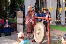 DSC03278.jpg